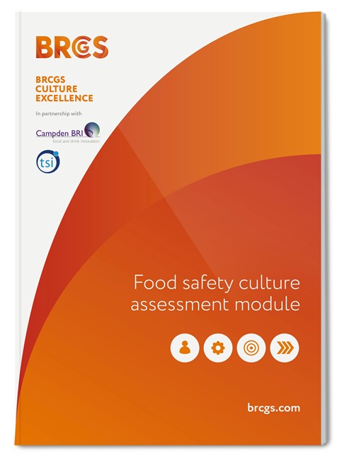 Food Safety Culture Excellence - Action Plan Template